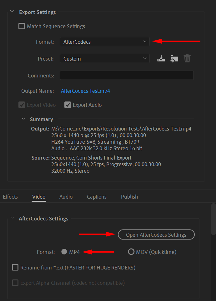 PPro Export settings