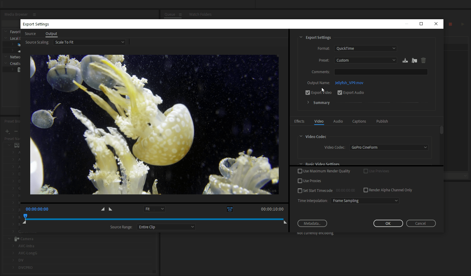 Influx for Adobe Media Encoder on Windows (All in one importer screenshot)