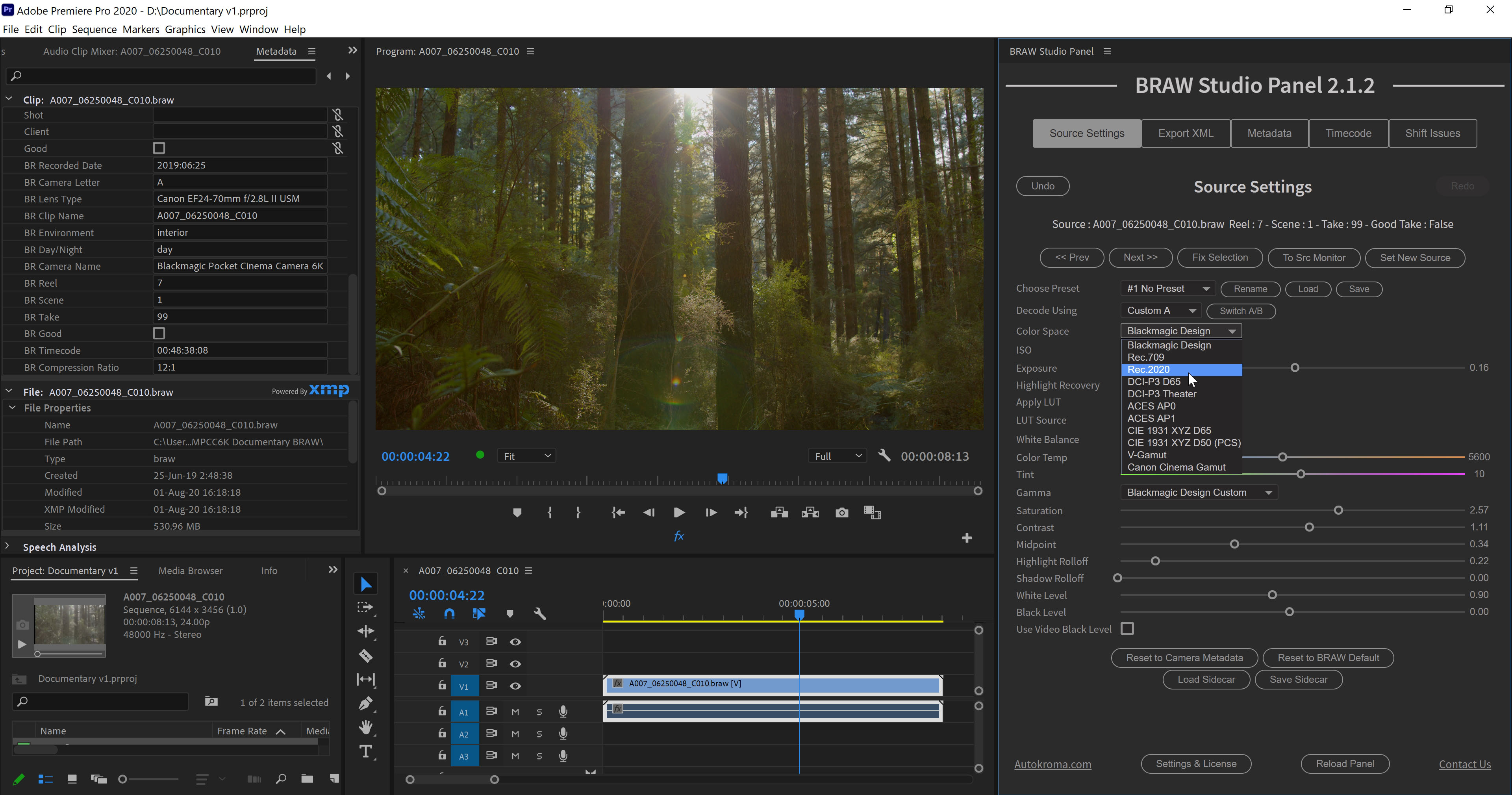 BRAW Studio V2 for Adobe Premiere Pro on Microsoft Windows (Blackmagic RAW importer plugin screenshot) showing the Source Settings Panel